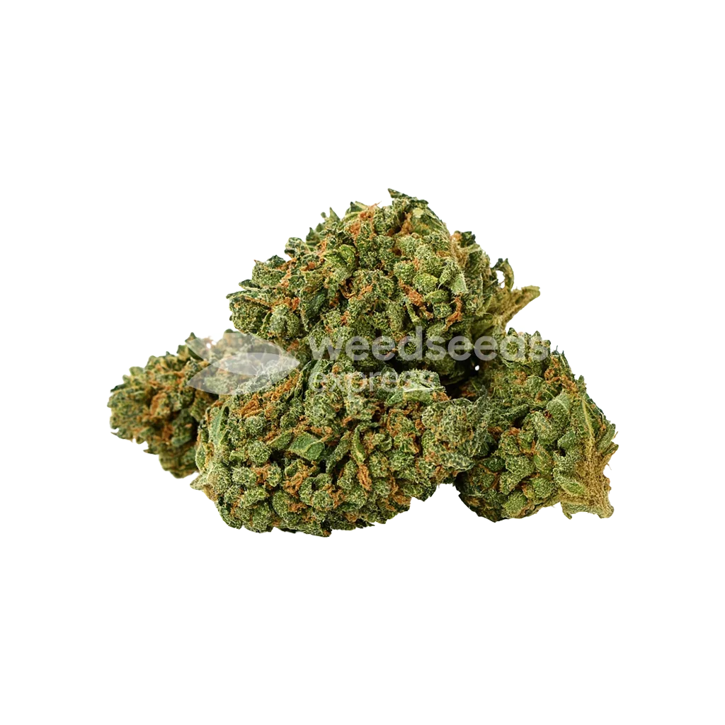 Wedding Cake Auto Bud