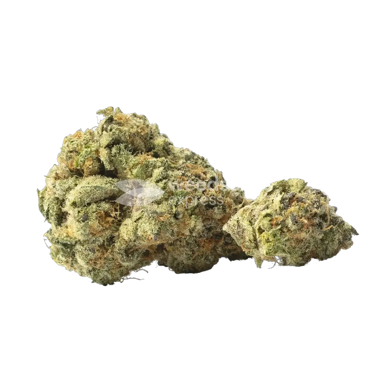 Yumboldt Banana Bud