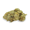 thumb of Acapulco Gold Bud