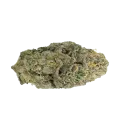 thumb of Afghan Kush Bud