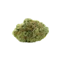 thumb of Amnesia Haze x Blueberry Auto Bud