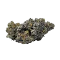 thumb of Animal Face Bud