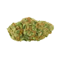 thumb of Big Bud Auto Bud