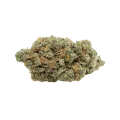 thumb of Black Jack Auto Bud