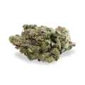 thumb of Black Jack bud