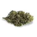 thumb of Black Widow Bud