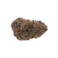 thumb of Blueberry Auto Bud