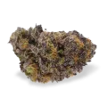 thumb of Blueberry Bud