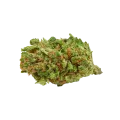 thumb of Blueberry Muffin Bud