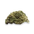 thumb of CBD Girl Scout Cookies Bud