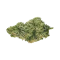 thumb of CBD Harle-Tsu Bud