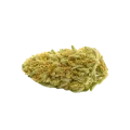 thumb of Cheese Auto Bud