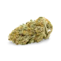 thumb of Cheese bud