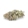thumb of do-si-dos bud