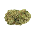 thumb of Forbidden Fruit Bud