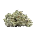 thumb of Gelonade Bud