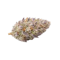 thumb of Glitter Bomb Cannabis Top