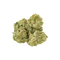thumb of Glookies Auto Bud