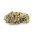 thumb of Gorilla Glue bud
