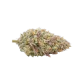 thumb of Gumbo Cannabis Top