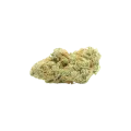 thumb of Jack Widow Auto Bud