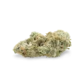 thumb of Jack Widow bud