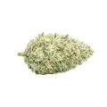 thumb of Lamb's Bread Autoflower Cannabis-top