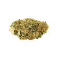 thumb of Lemon Auto Bud