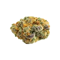 thumb of Love Potion Auto Bud