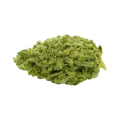 thumb of Lowryder Auto Bud