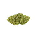 thumb of Magnum Auto Bud