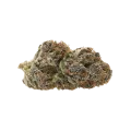 thumb of Mimosa Auto Bud