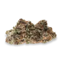thumb of Mimosa top