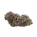 thumb of Purple Punch Auto Bud