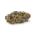 thumb of Sirius Black bud