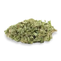 thumb of Sleepy Joe Bud