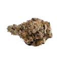 thumb of Slurricane Bud